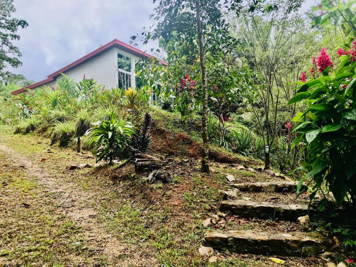 Sattva Land Hotel Belmopan Bagian luar foto